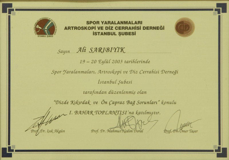 Dizde Kıkırdak ve Ön Çapraz Bağ Sorunları — I. Bahar Toplantısı
