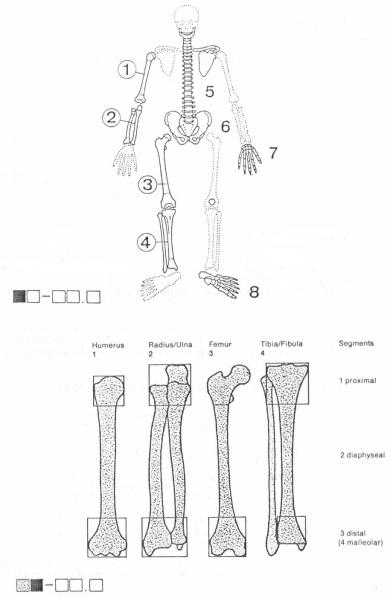 FEMUR KIRIKLARI image 2