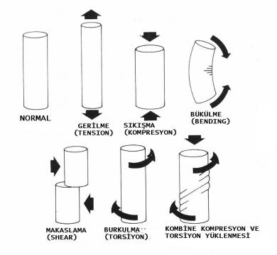 FEMUR KIRIKLARI image 5